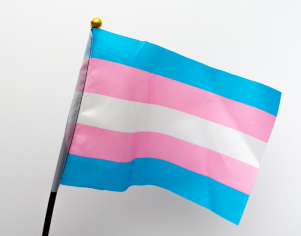 Image for event: Being and Belonging: Celebrating Trans Day of Visibility