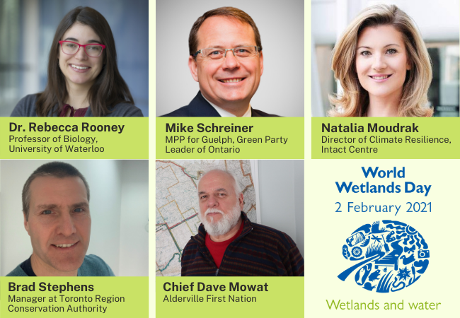 World Wetlands Day Panel